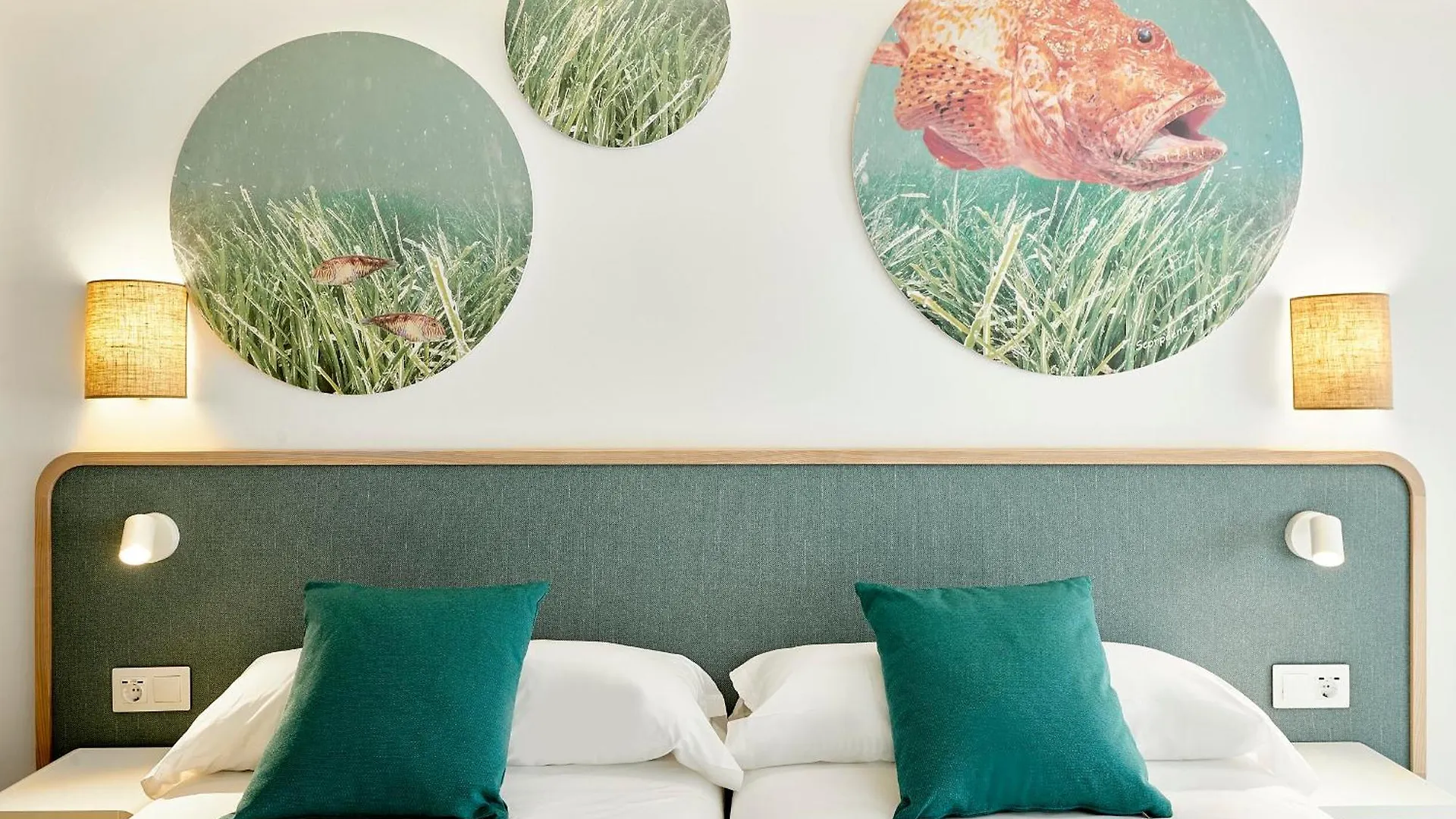 Iberostar Selection Albufera Park All Inclusive Playa de Muro  4*, Playa de Muro (Mallorca)